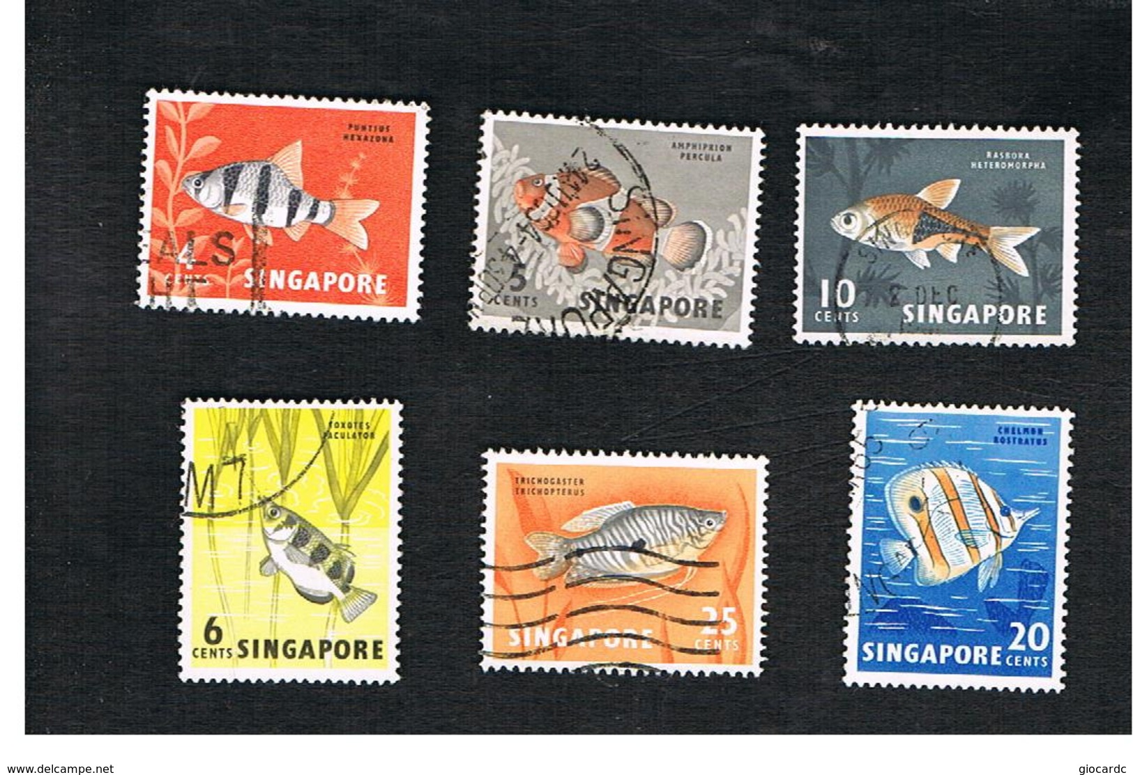 SINGAPORE   -  SG 65.72  -    1962  FISHES      -  USED ° - Singapore (1959-...)