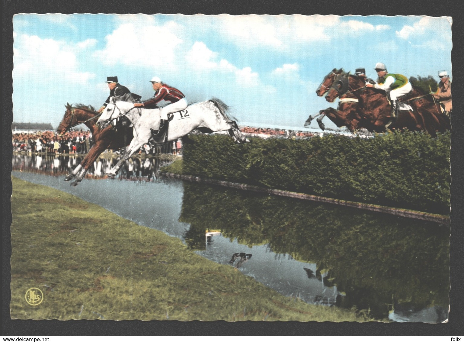 Waregem - Paardewedrennen - Sprong Over De Beek - Jumping - Waregem