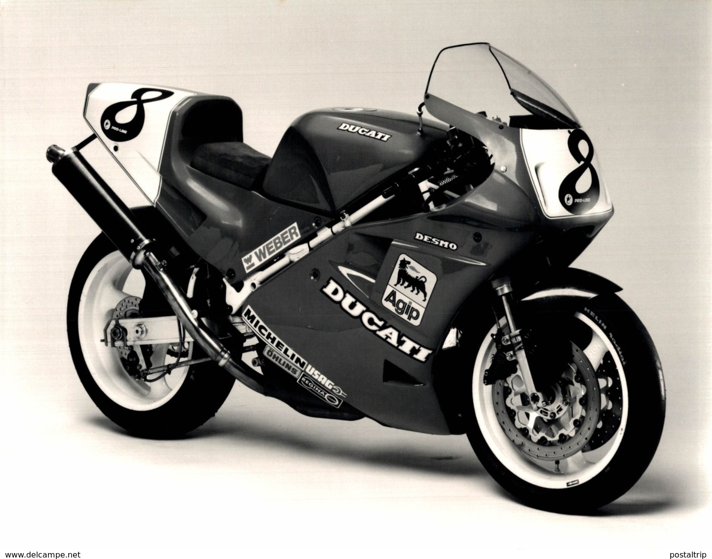 DUCATI  +-24cm X 17cm  Moto MOTOCROSS MOTORCYCLE Douglas J Jackson Archive Of Motorcycles - Otros & Sin Clasificación