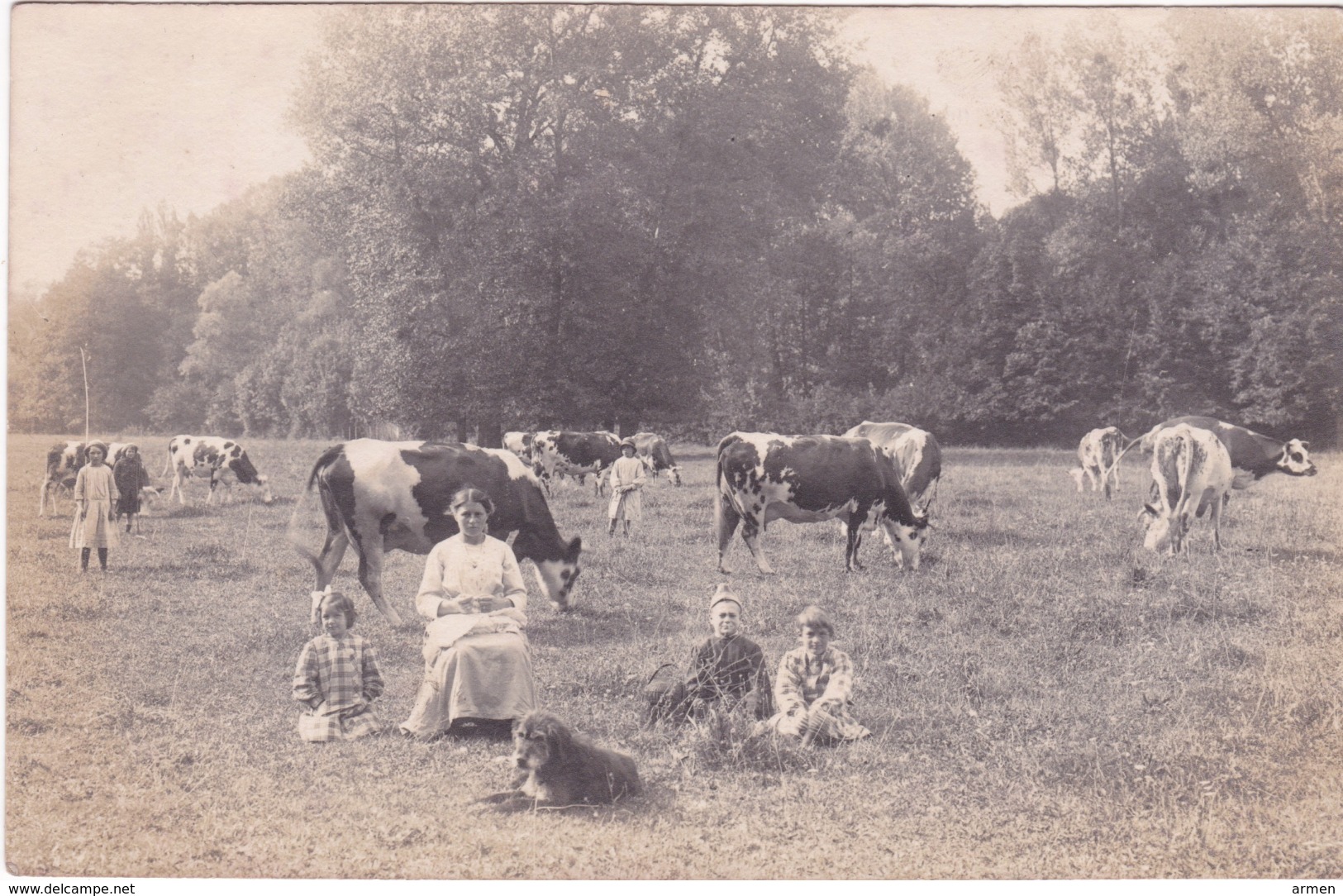 91-YERRES- PRAIRIE RARE PHOTO A-IDENTIFIER - Yerres