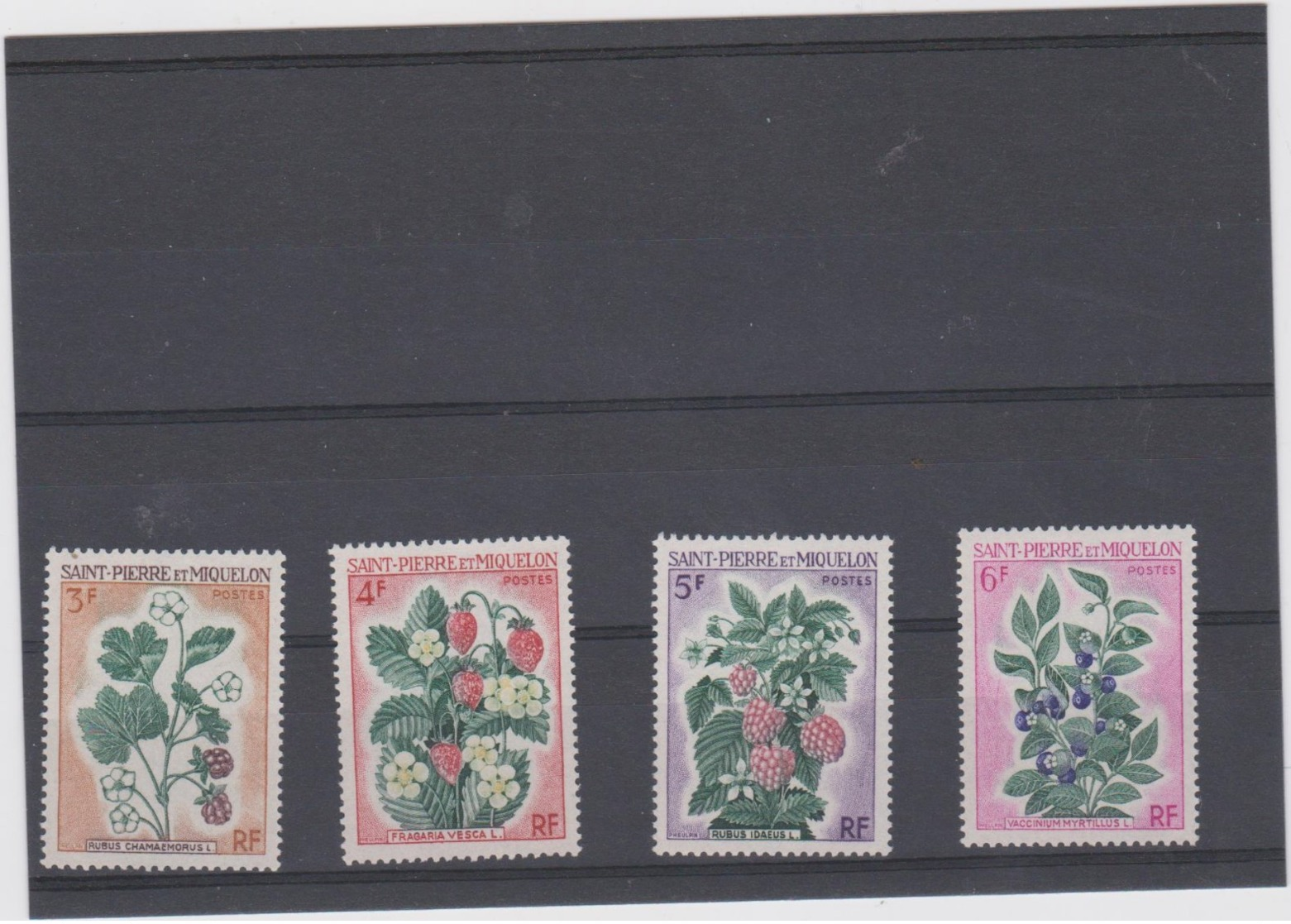 SAINT PIERRE ET MIQUELON 4 T Xx Sèrie Complète N°YT 401 à 404 -an 1970 - Fleurs - Other & Unclassified