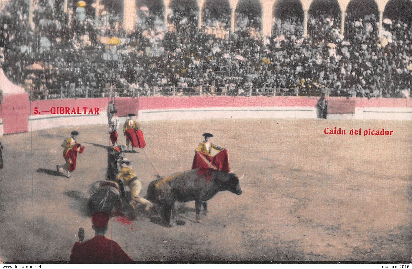 GIBRALTAR - BULL FIGHTING - CAIDA DEL PICADOR ~ AN OLD POSTCARD #969109 - Gibraltar