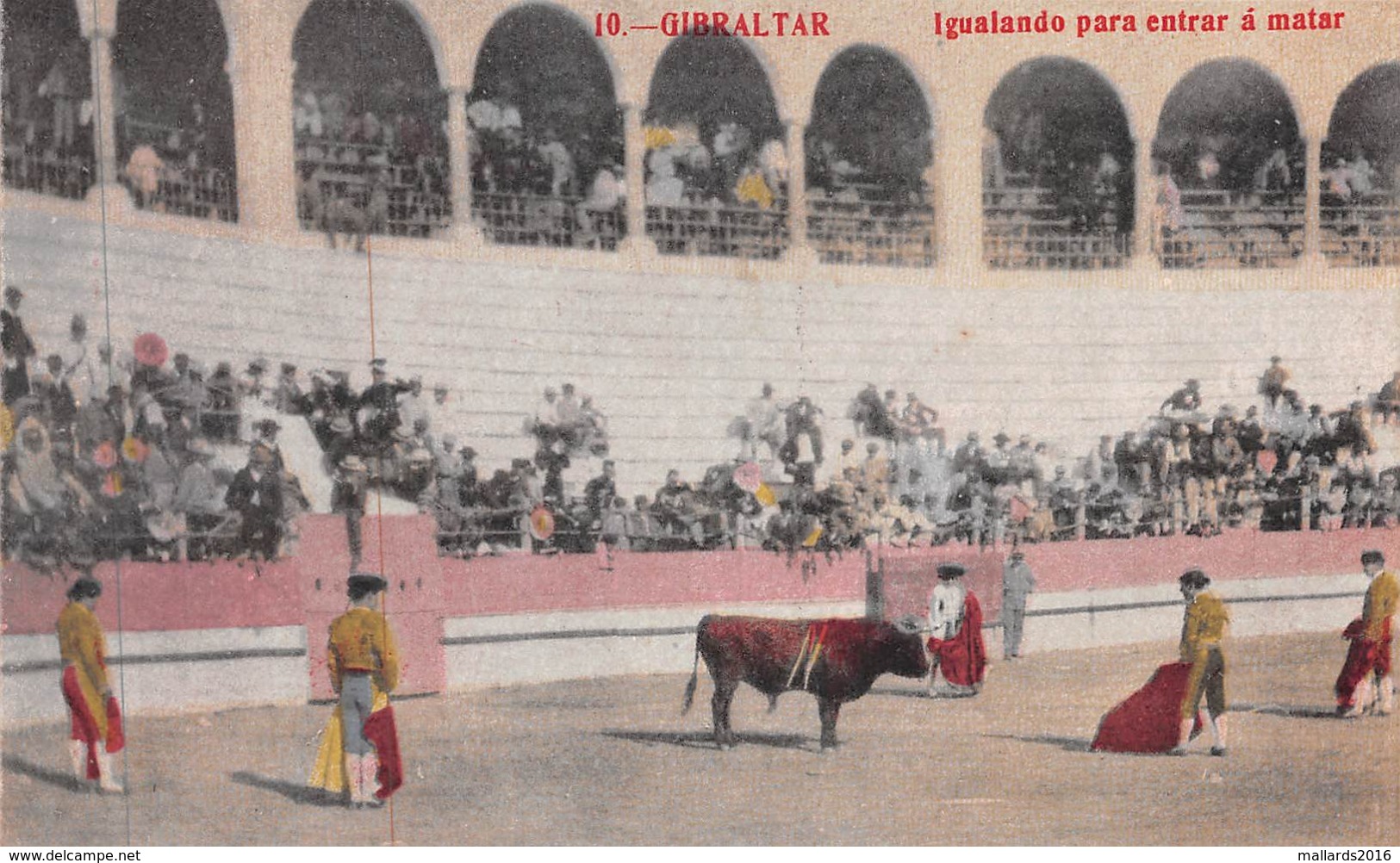 GIBRALTAR - BULL FIGHTING - IGUALANDO PARA A MATAR ~ AN OLD POSTCARD #969132 - Gibraltar