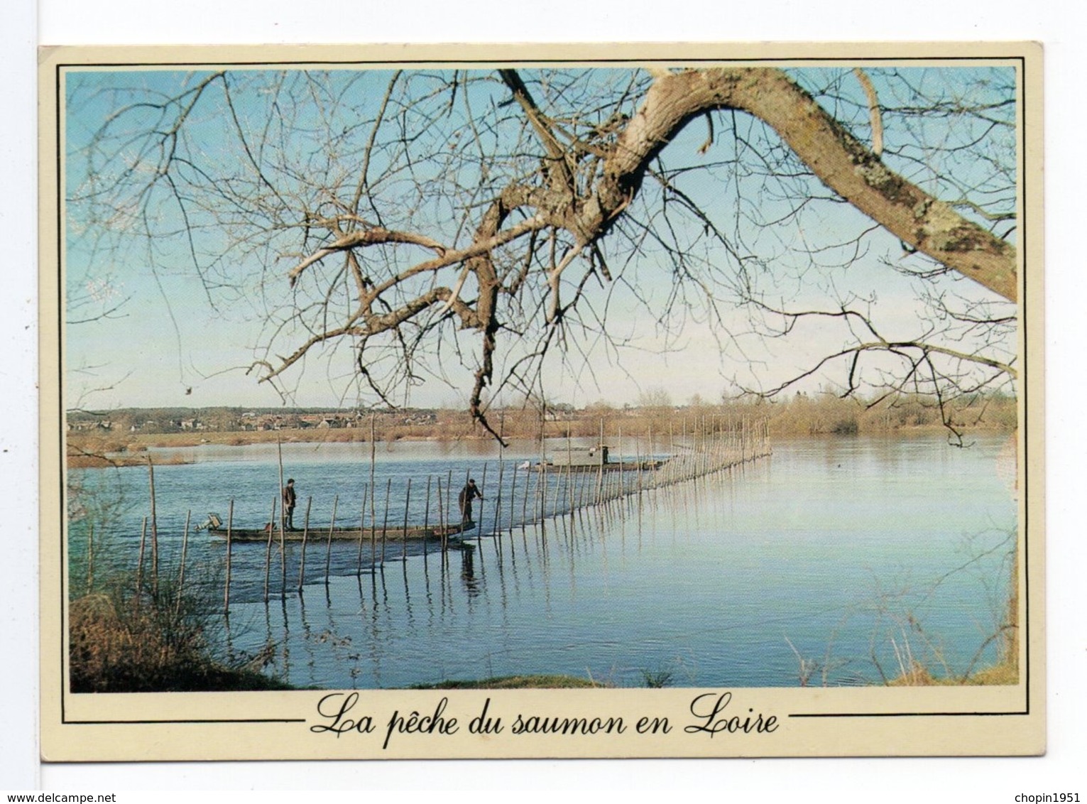 CPM - LA PÊCHE AU SAUMON EN LOIRE - Pêche