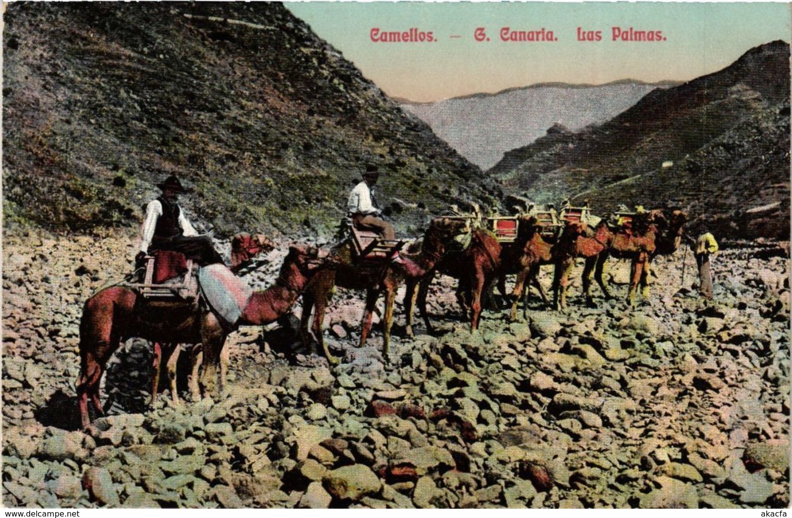 CPA Espagne LAS PALMAS DE GRAN CANARIA - Camellos (304785) - La Palma