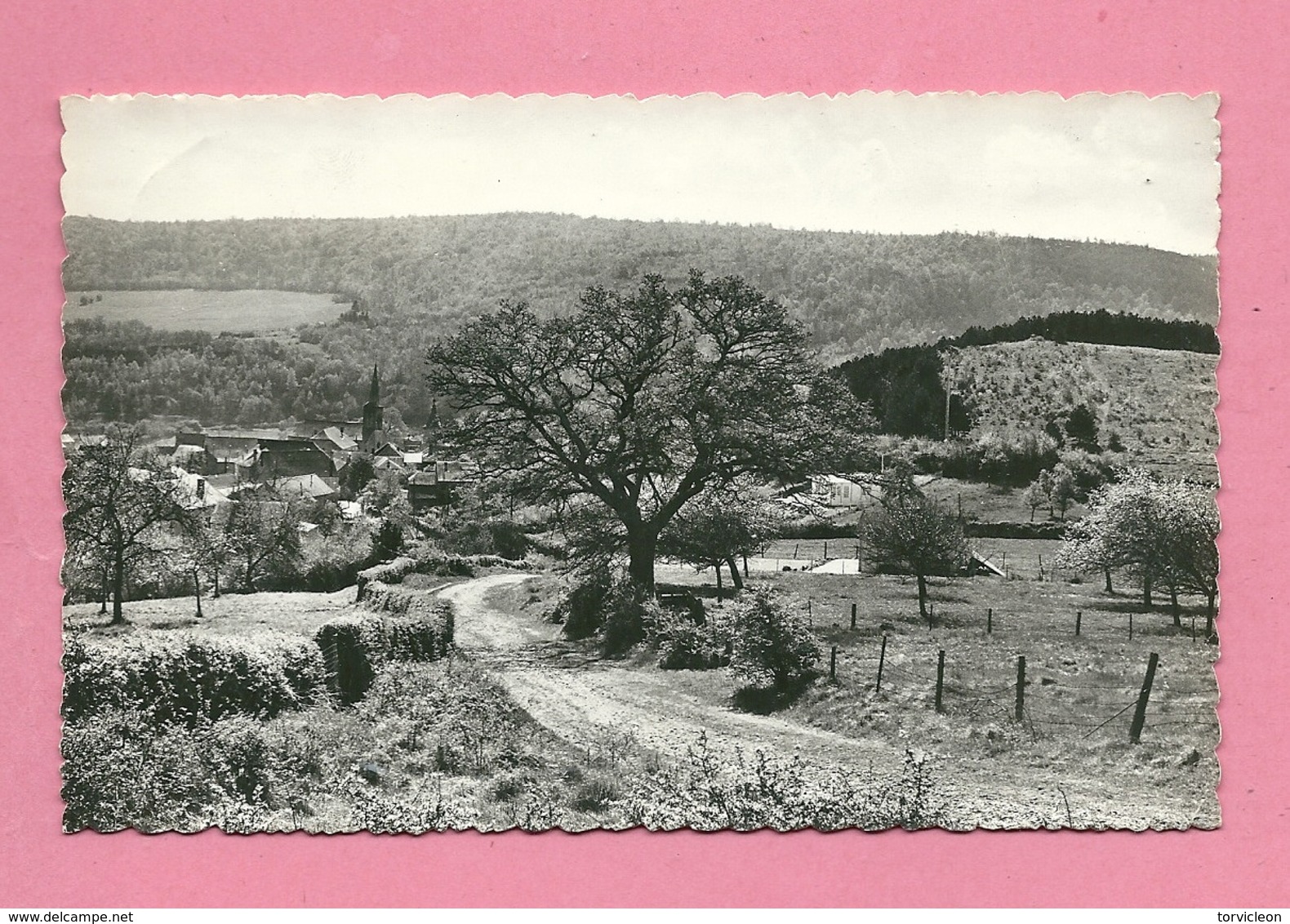 C.P. Vierves-sur-Viroin =   Chemin  Du  Paradis - Viroinval