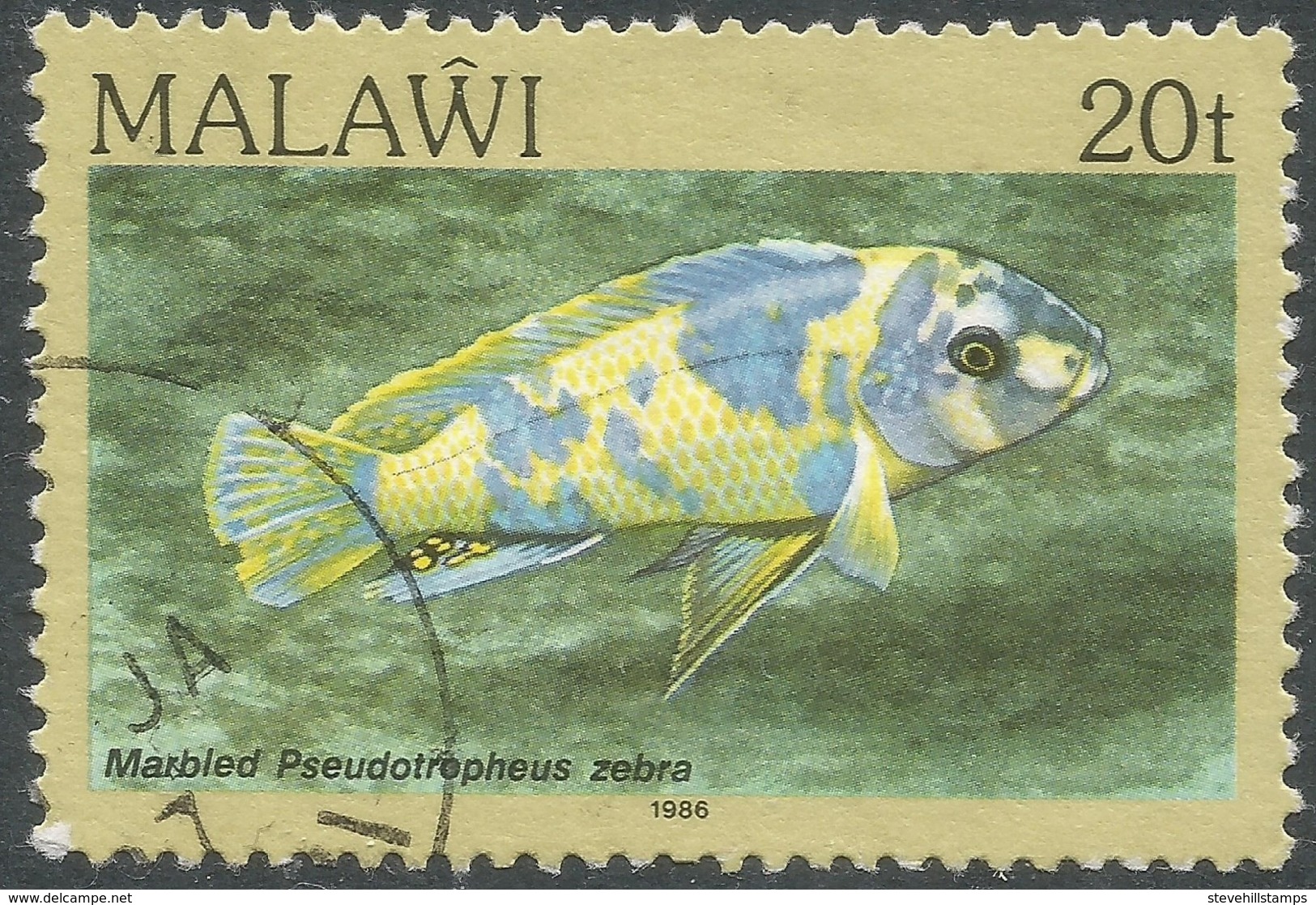 Malawi 1984 FIsh. 20t Used. SG 695 - Malawi (1964-...)