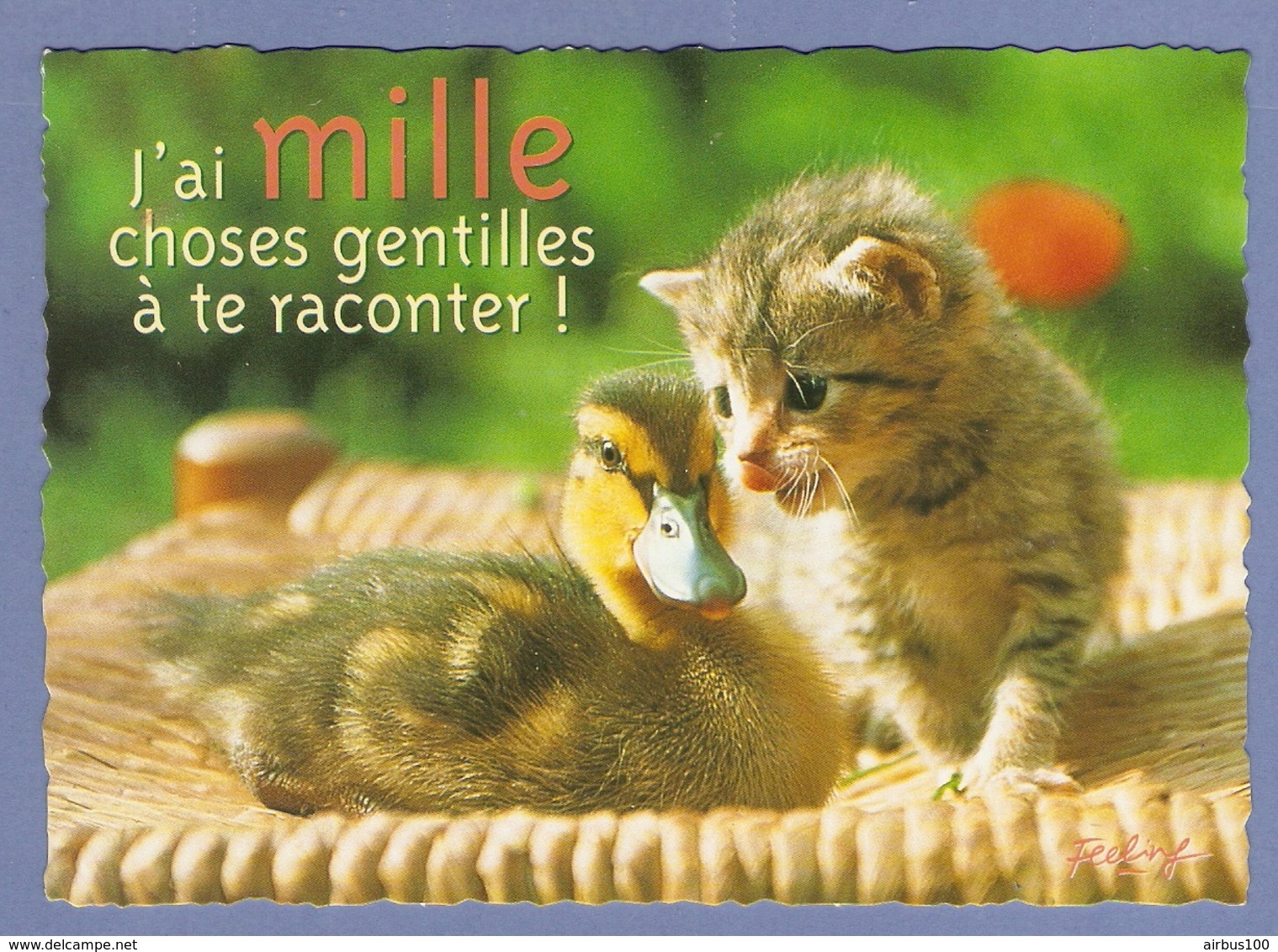 CPM - HUMOUR - CANETON CANARD CHATON CHAT - J'AI MILLE CHOSES GENTILLES à TE RACONTER - Chats