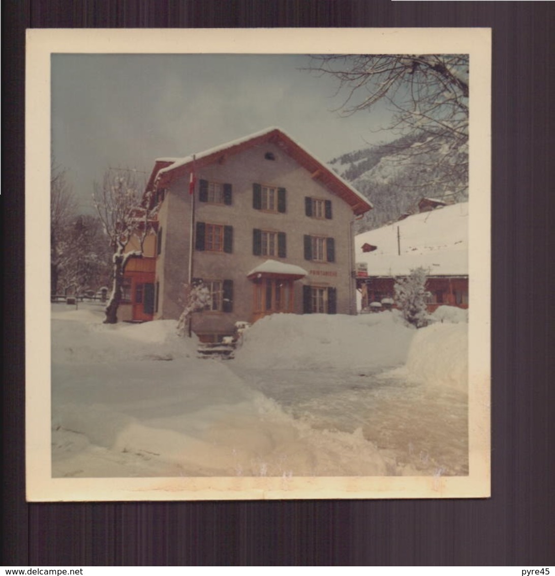 Photo ( 9 X 9 Cm ) " La Printanière Sous La Neige " Suisse ?? 1970 - Lieux