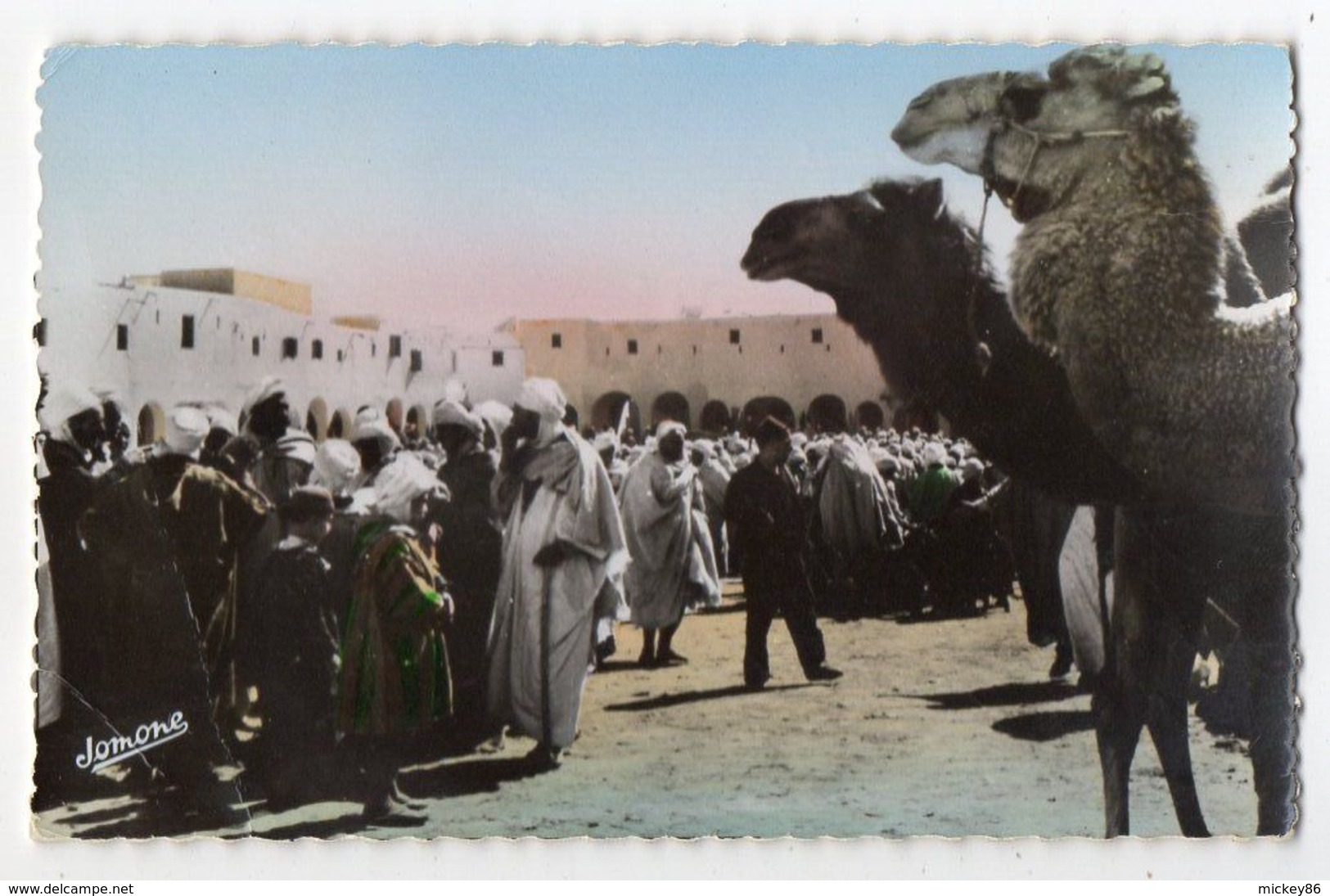 Algérie -- GHARDAIA -- La Place Du Marché ( Animée,chameaux)........à Saisir - Ghardaia