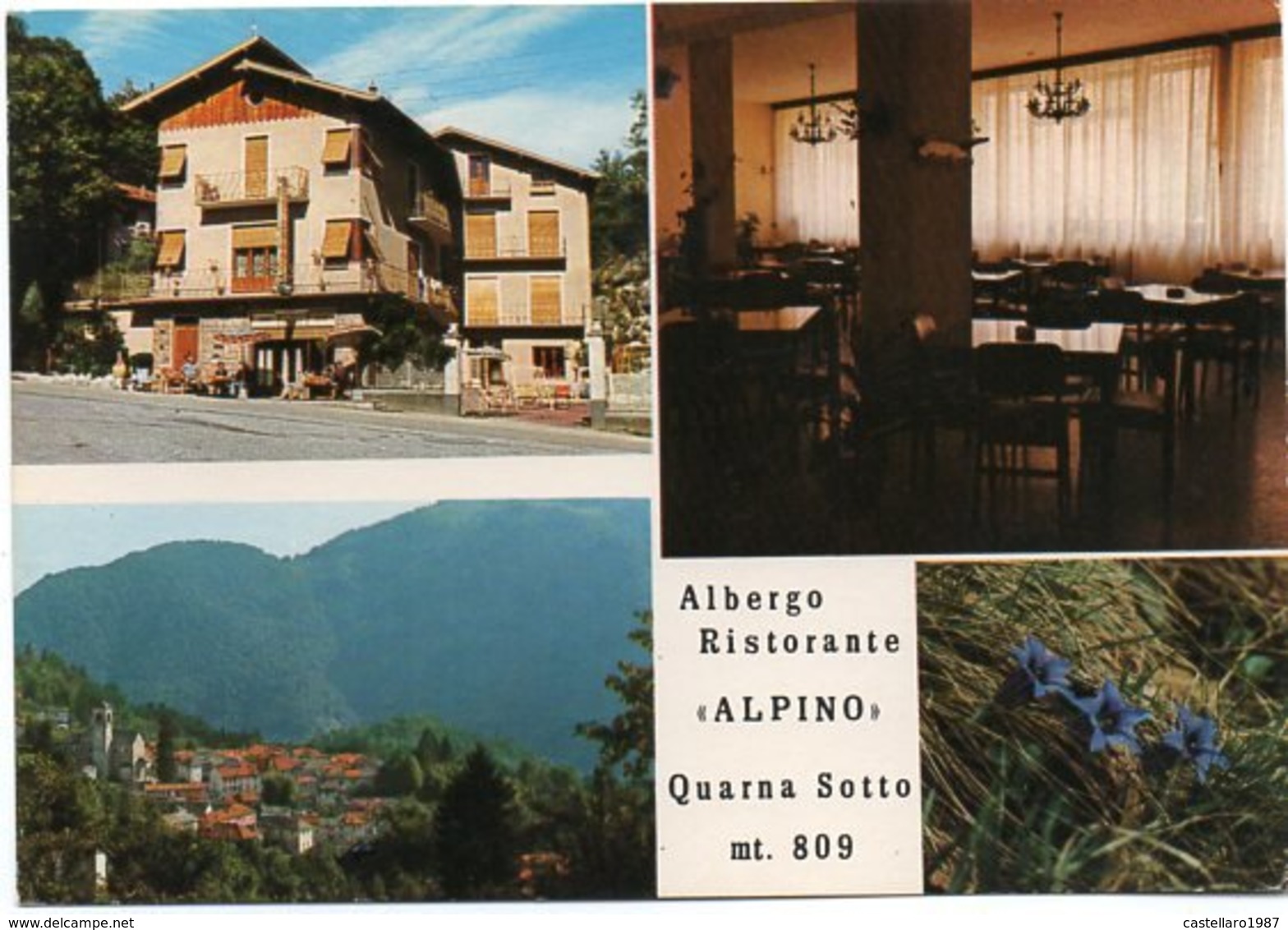 Albergo Ristorante "ALPINO" - Quarna Sotto Mt. 809 - Vedute - Altri & Non Classificati