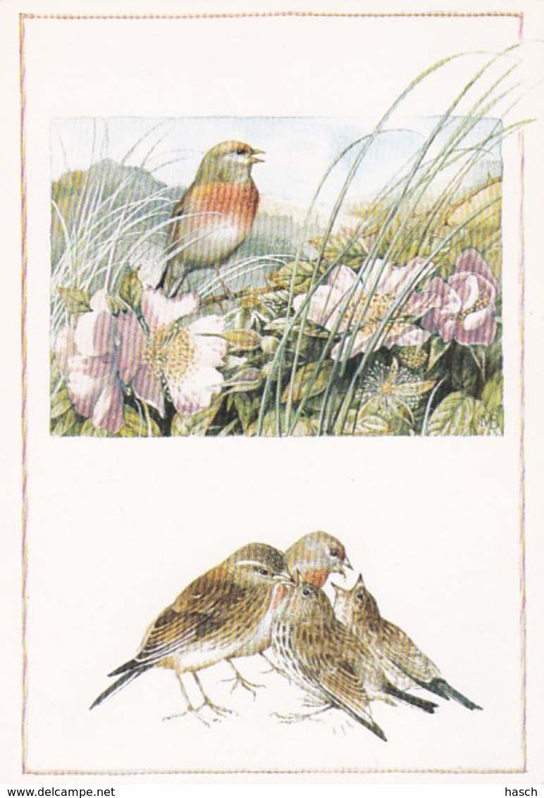 195564Marjolein Bastin. Vogels Wekerom. - Andere & Zonder Classificatie