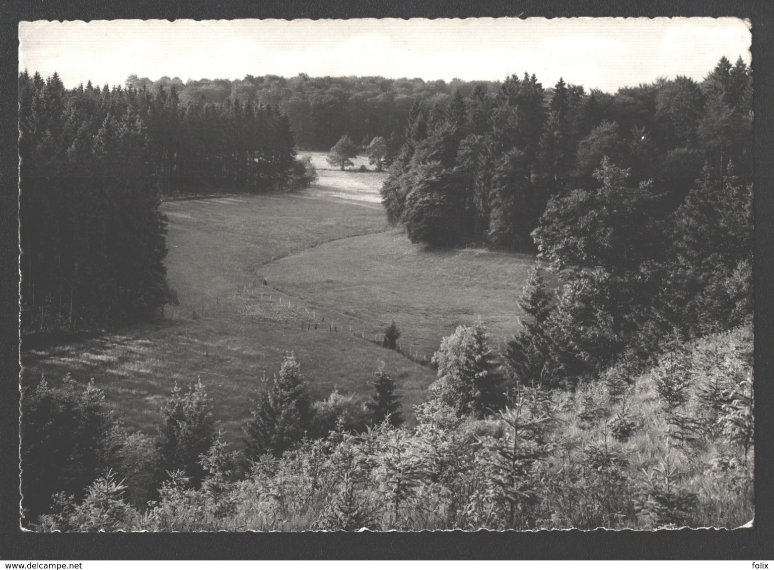 Bullingen-Bullange - Paysage - Photo Véritable - Bullange - Buellingen