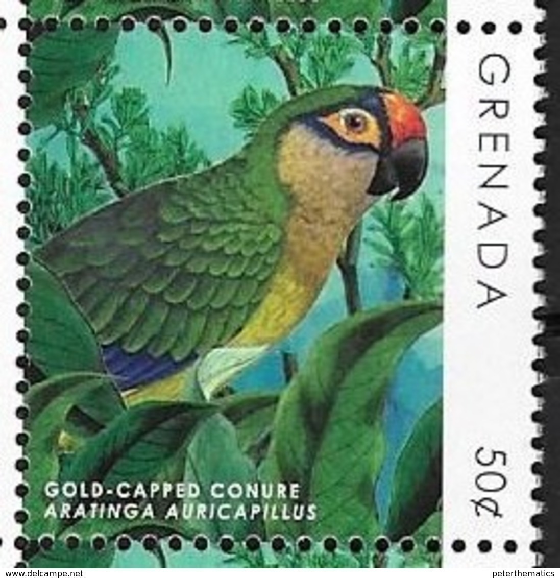 GRENADA, 2018, MNH, BIRDS, DEFINITIVES, PARROTS, 1v - Parrots