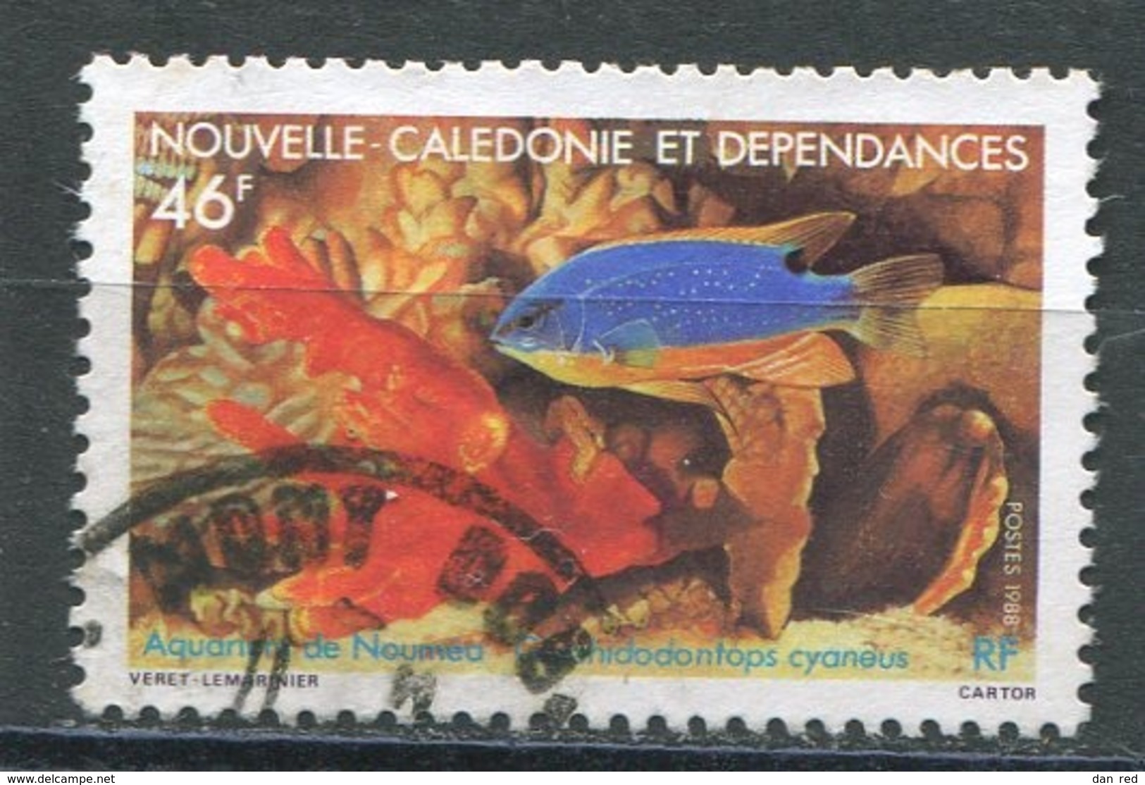 NOUVELLE CALEDONIE  N°  552  (Y&T)  (Oblitéré) - Gebraucht