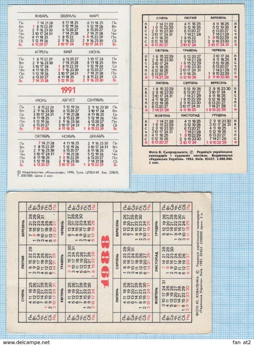 USSR / 3 Pocket Calendars / Soviet Union / RUSSIA, UKRAINE. Mushrooms  Plants. Flora. 1984,1987,1990 - Formato Piccolo : 1991-00