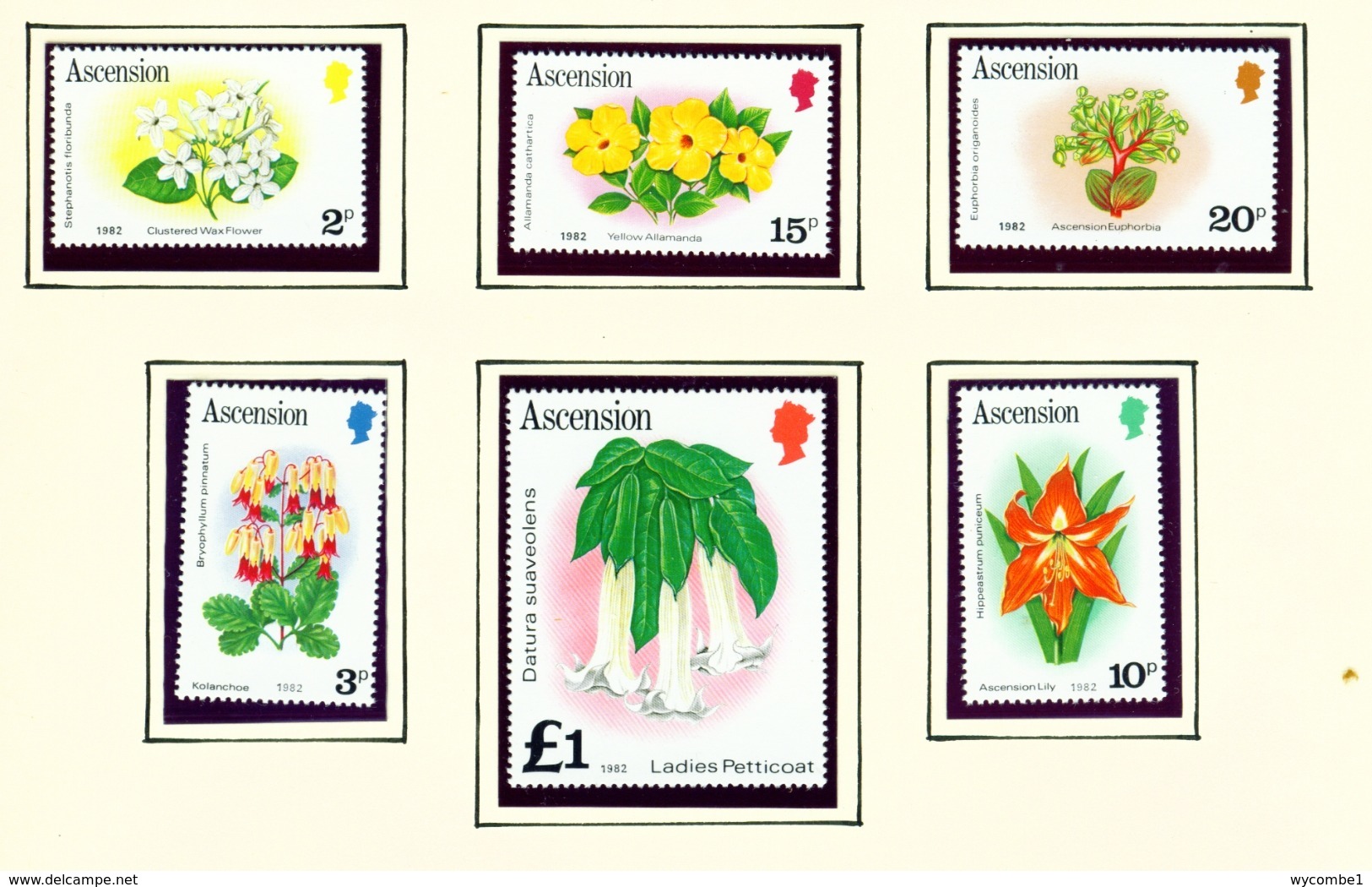 ASCENSION  -  1982 Flower Definitives With Date Imprint Set Unmounted/Never Hinged Mint - Ascension