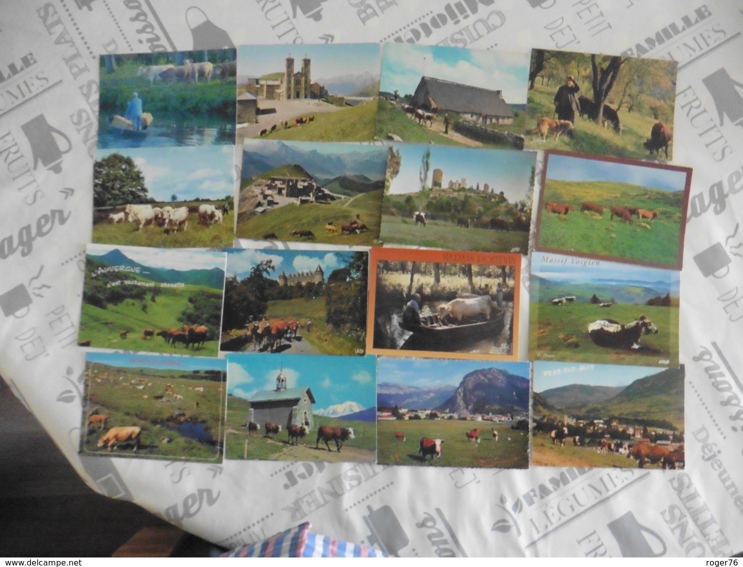 LOT  DE 104   CARTES  POSTALES   DE  VACHES - 100 - 499 Cartes