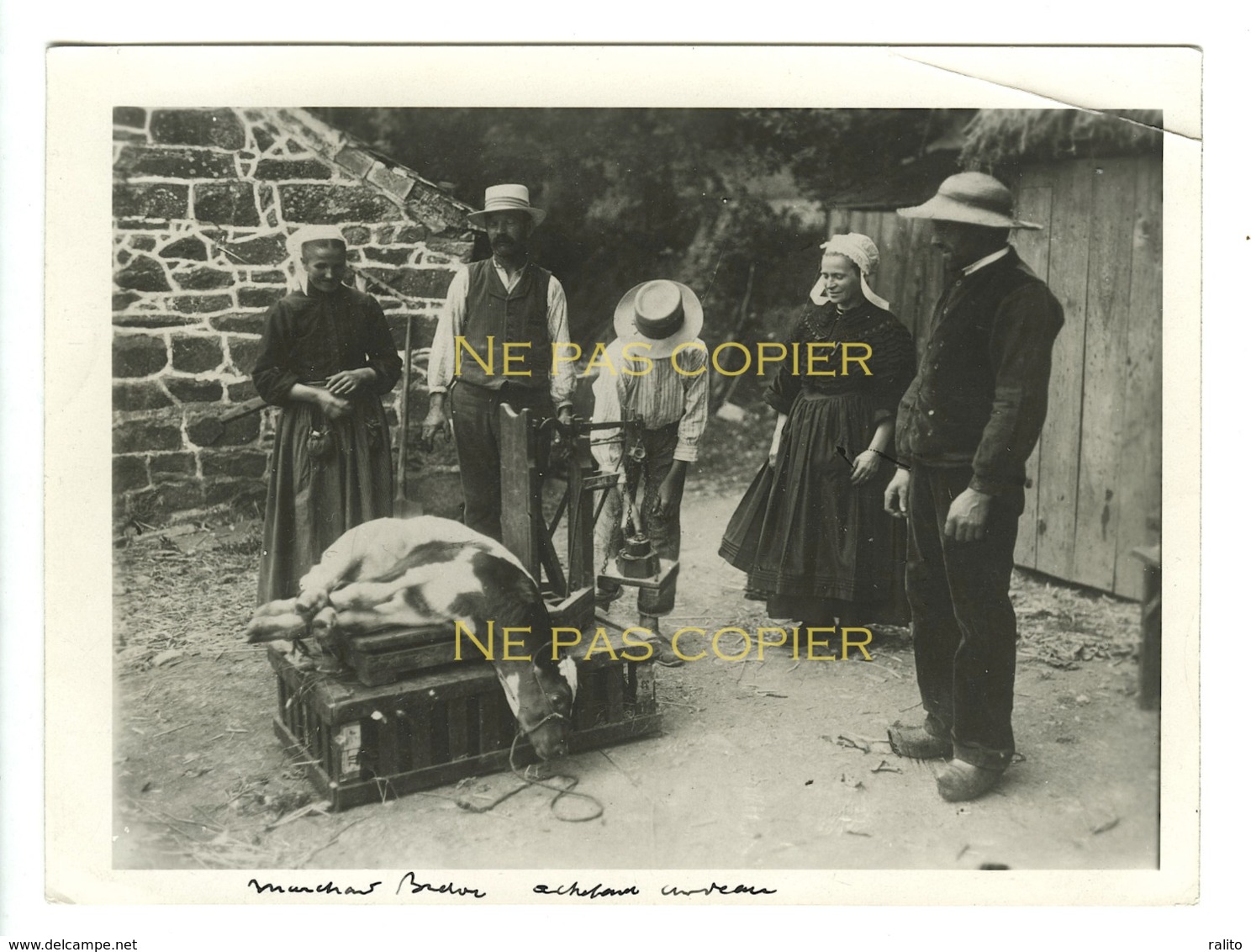 BRETAGNE La Pesée Et L'achat Du Veau Vers 1930 Par Photographe Charles Delius - Lieux