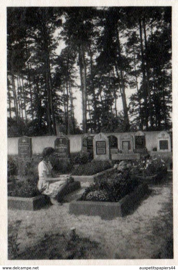 Photo Originale Jeune Femme Se Recueillant Sur Les Tombes Au Cimetière En 1949 - Lieux