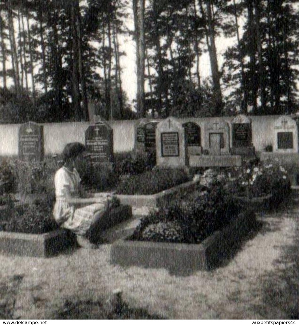 Photo Originale Jeune Femme Se Recueillant Sur Les Tombes Au Cimetière En 1949 - Lieux