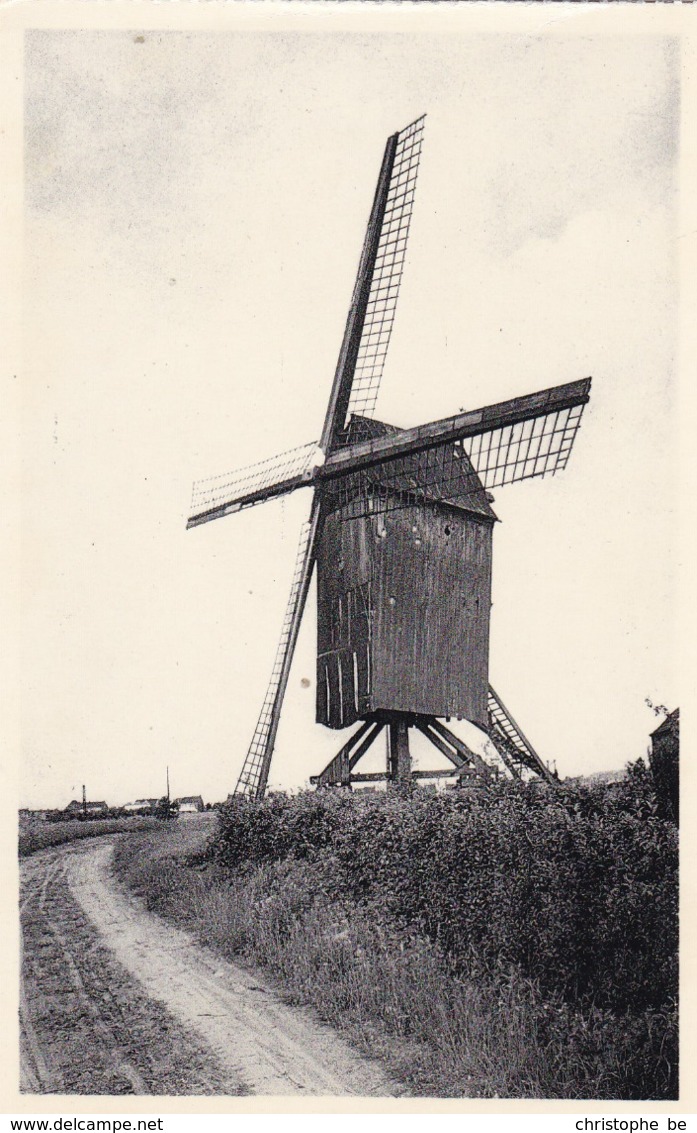 Waregem, Oude Molen, Windmill, Moulin (pk61658) - Waregem