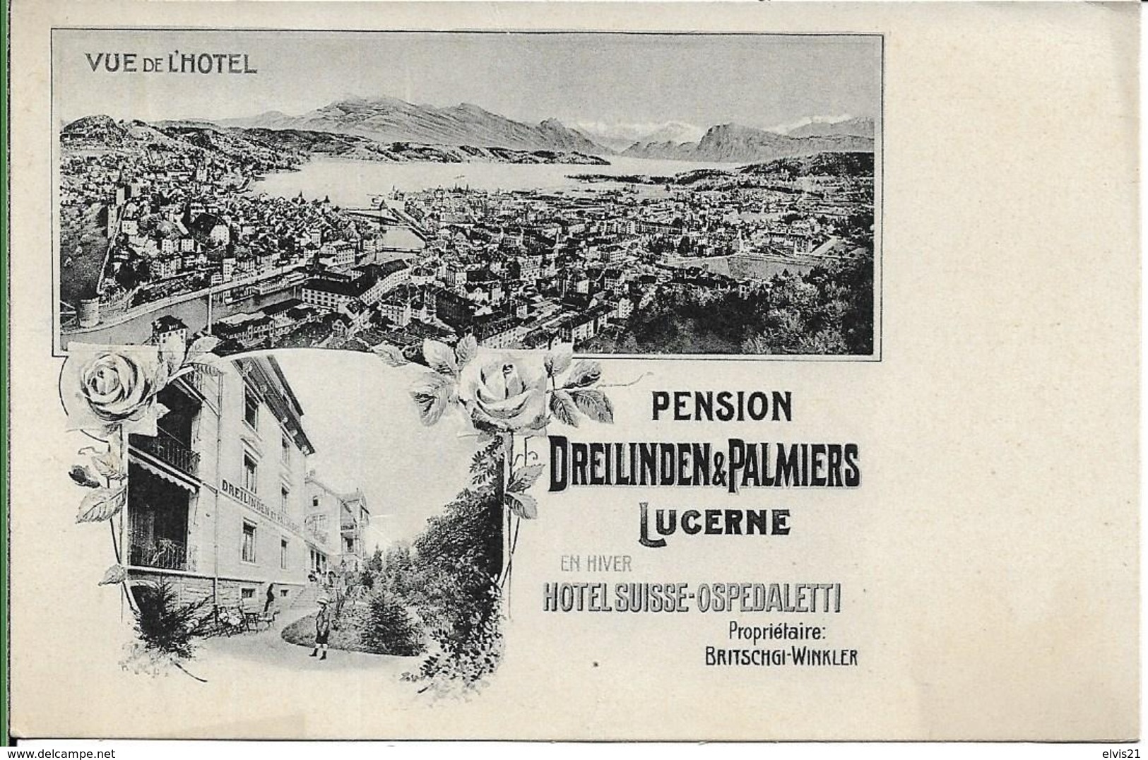 Pension Dreilinden Et Palmiers LUCERNE - Lucerne