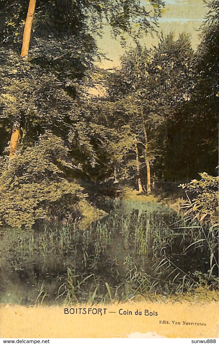 Boitsfort - Coin Du Bois (colorisée, Edit. Van Neertraten 1909) - Watermaal-Bosvoorde - Watermael-Boitsfort