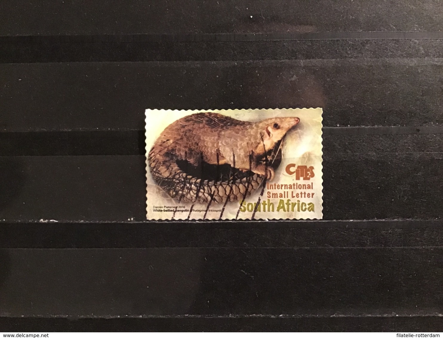 Zuid-Afrika / South Africa - Cites, COP17 2016 - Used Stamps