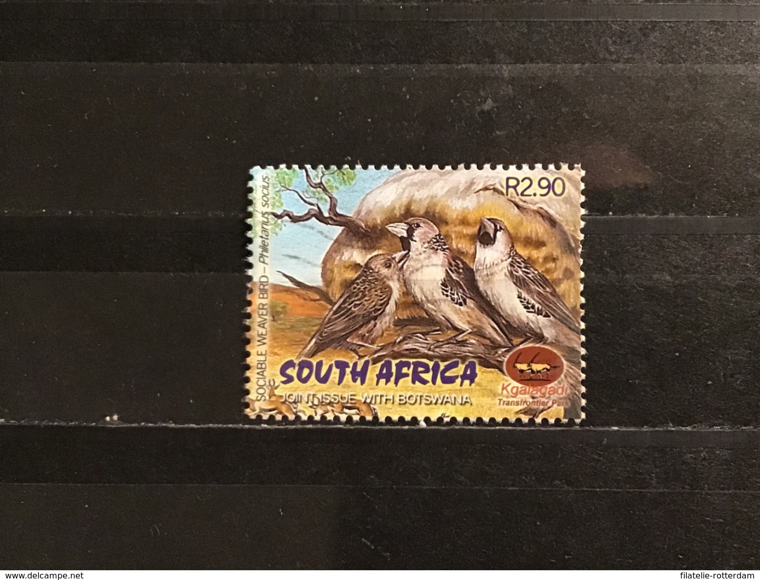 Zuid-Afrika / South Africa - Joint-Issue Met Botswana 2016 - Gebruikt