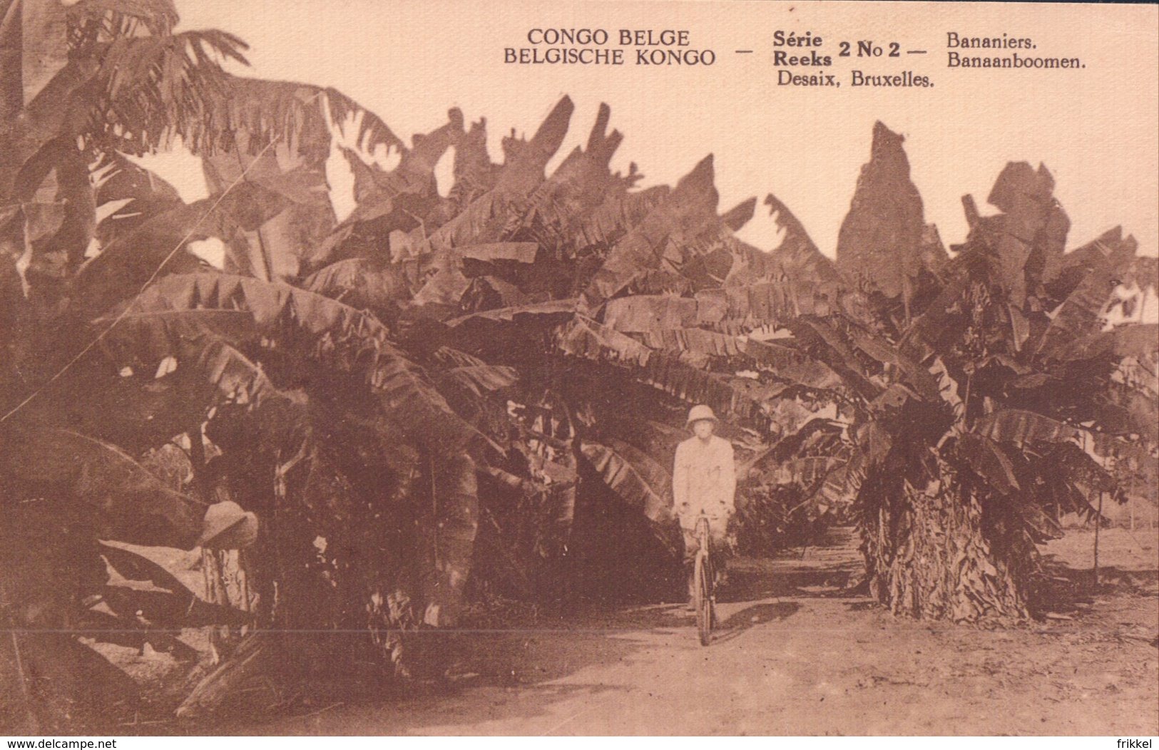 Bananiers Banaanboomen ( Congo Belge Belgisch Kongo ) - Congo Belge