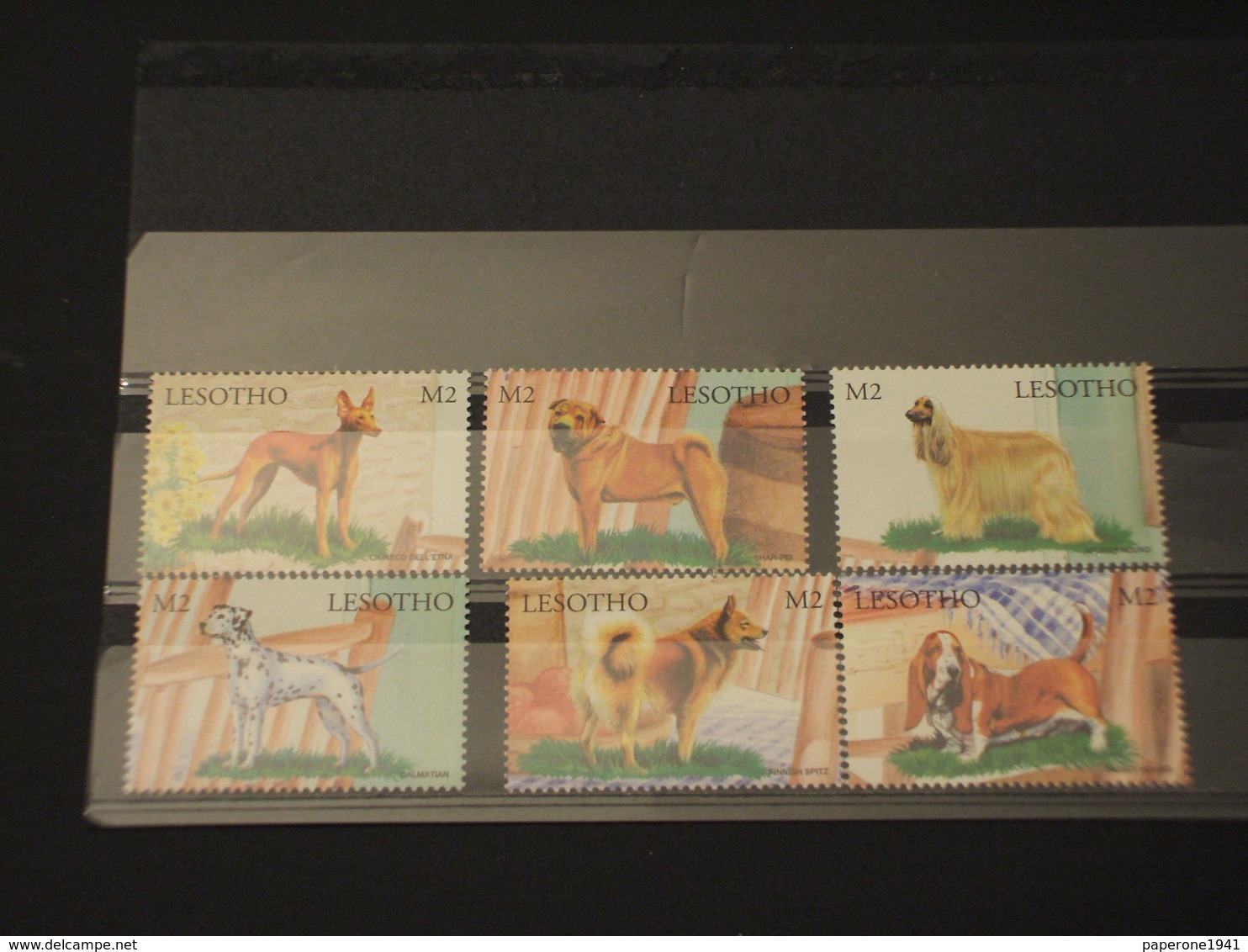 LESOTHO - 1999 CANI  6  VALORI - NUOVI(++) - Lesotho (1966-...)