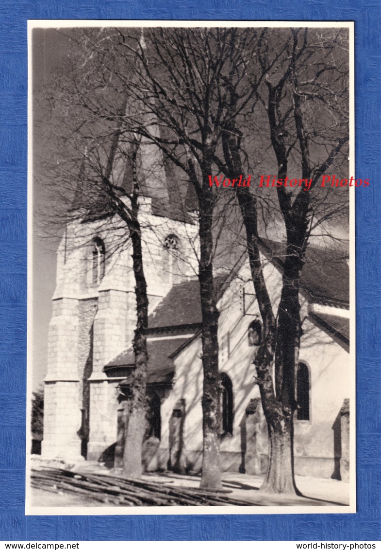 Photo Ancienne - MARCENAT - Vue De L' Eglise à Travers Les Arbres - 1954 - Cantal Histoire Patrimoine - Lieux