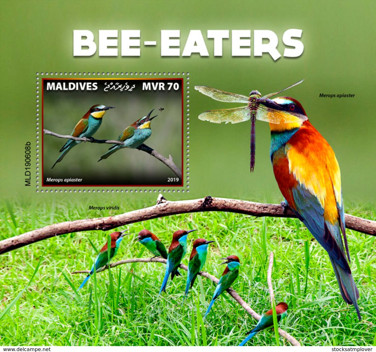Maldives 2019  Fauna Bee-eaters , Birds    S201909 - Malediven (1965-...)