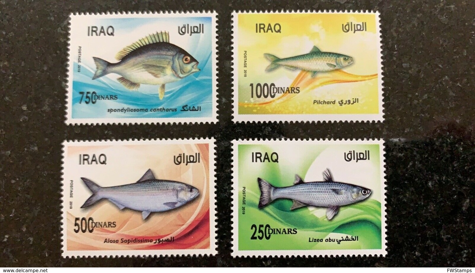 Iraq 2019 MNH Stamp Fish Of The Arabian Gulf - Iraq