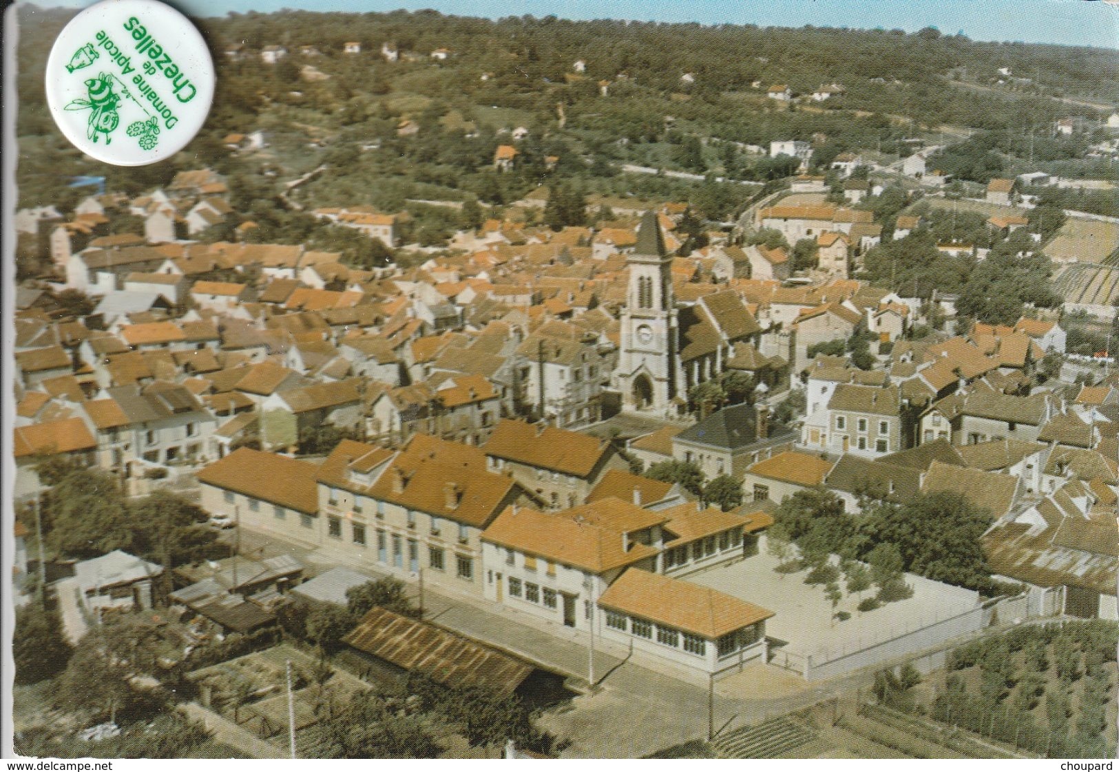 78 - Très Belle Carte Postale Semi Moderne Dentelée De  CHANTELOUP   Les Ecoles - Chanteloup Les Vignes