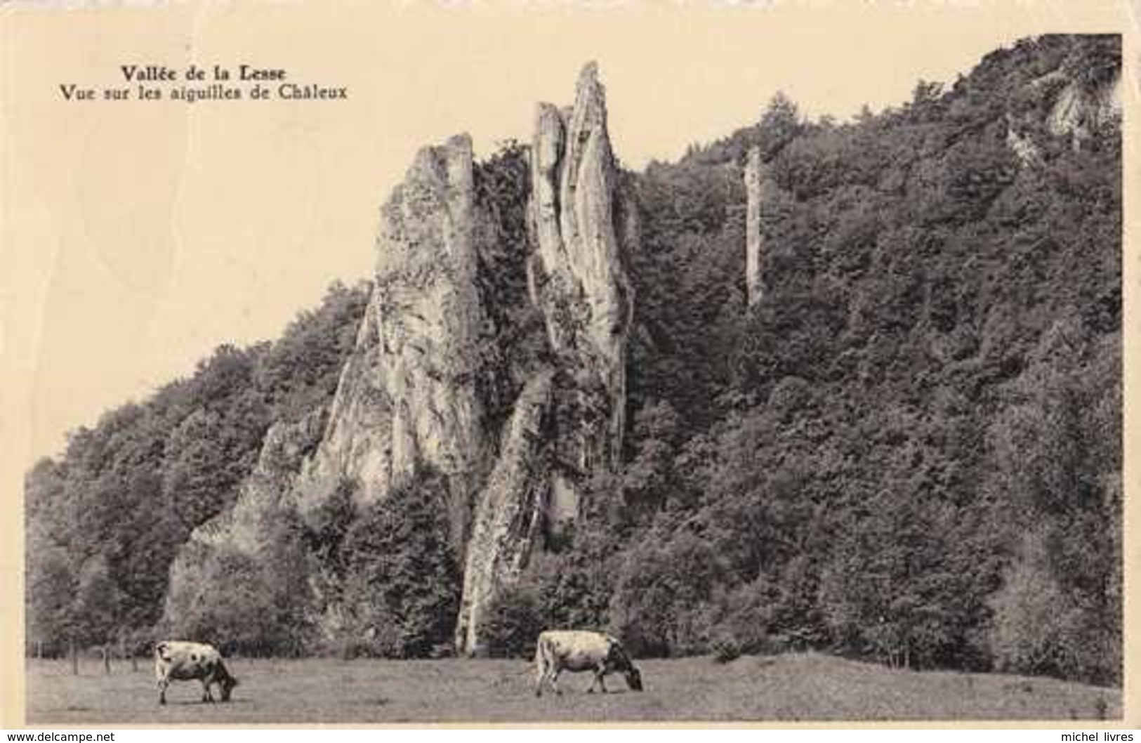 Châleux - Vallée De La Lesse - Vue Sur Les Aiguilles - Circulé - TBE - Hulsonniaux  - Houyet - Houyet