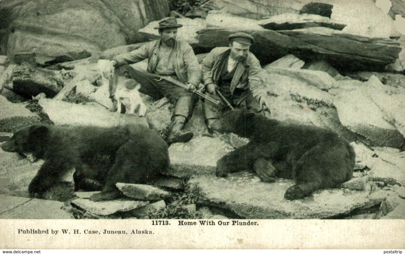 HOME WITH OUR PLUNDER PUBLISHED W H CASE JUNEAU ALASKA  OSO BEAR OURS BEAREN - Caza