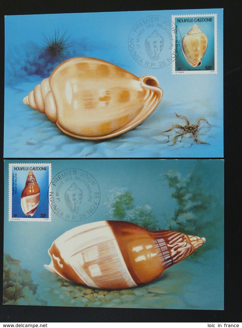 Carte Maximum Card (x2) Coquillage Shell Nouvelle Calédonie (ref 94601) - Tarjetas – Máxima