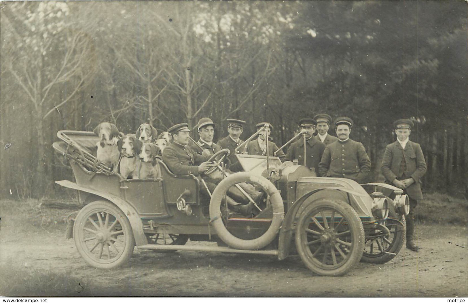 RAMBOUILLET - Chiens D'Henry, Chasse à Courre, Carte Photo. - Rambouillet