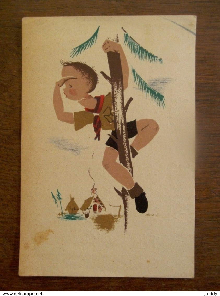 Oude Postkaart  1946 Scouts Met Aparte Stempel  ZOTTEGEM - Scoutismo