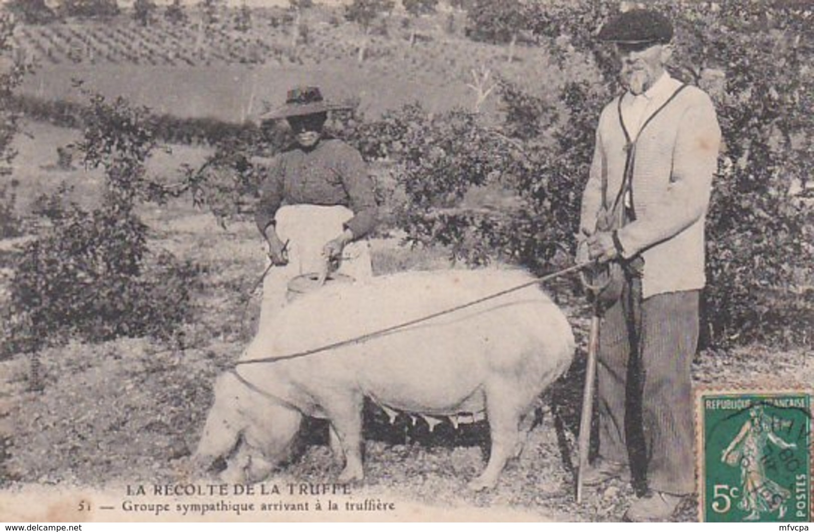 CP189 CORREZE Récolte De La Truffe 51 Groupe Sympathique Arrivant à La Truffière Voyagé - Autres & Non Classés