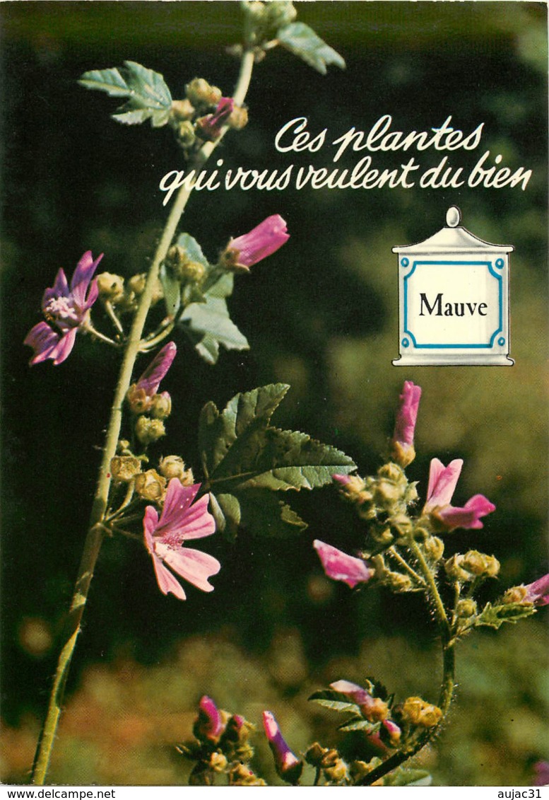 Fleurs - Plantes Médicinales - Cliché Monique Berard - Lots - Lot De 16 Cartes N°H1 à H16 - Bon état - Plantes Médicinales