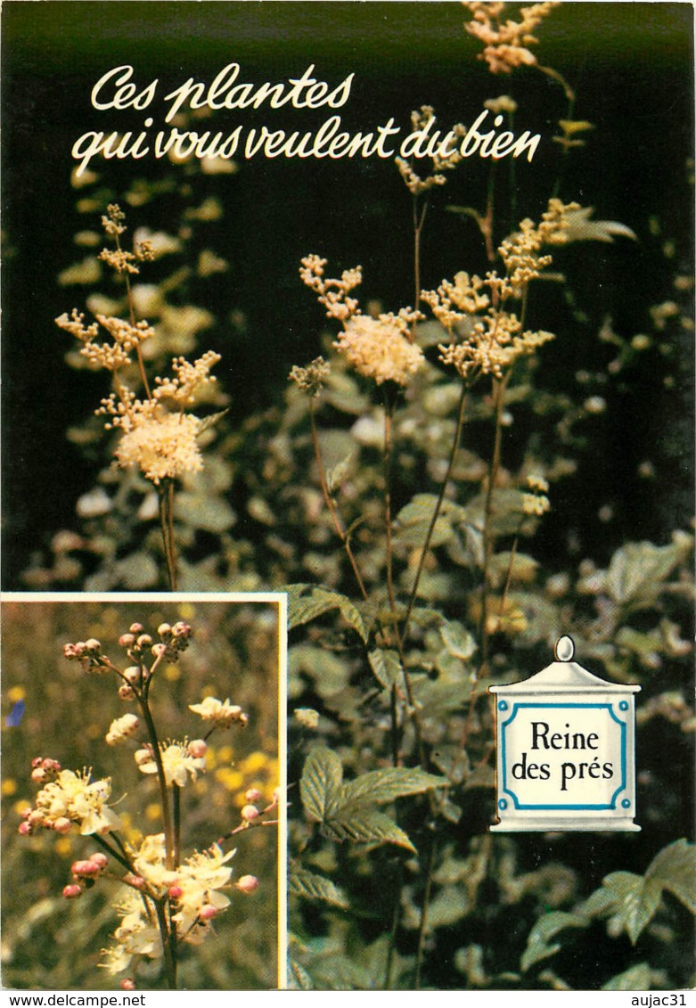 Fleurs - Plantes médicinales - Cliché Monique Berard - Lots - Lot de 16 cartes N°H1 à H16 - bon état