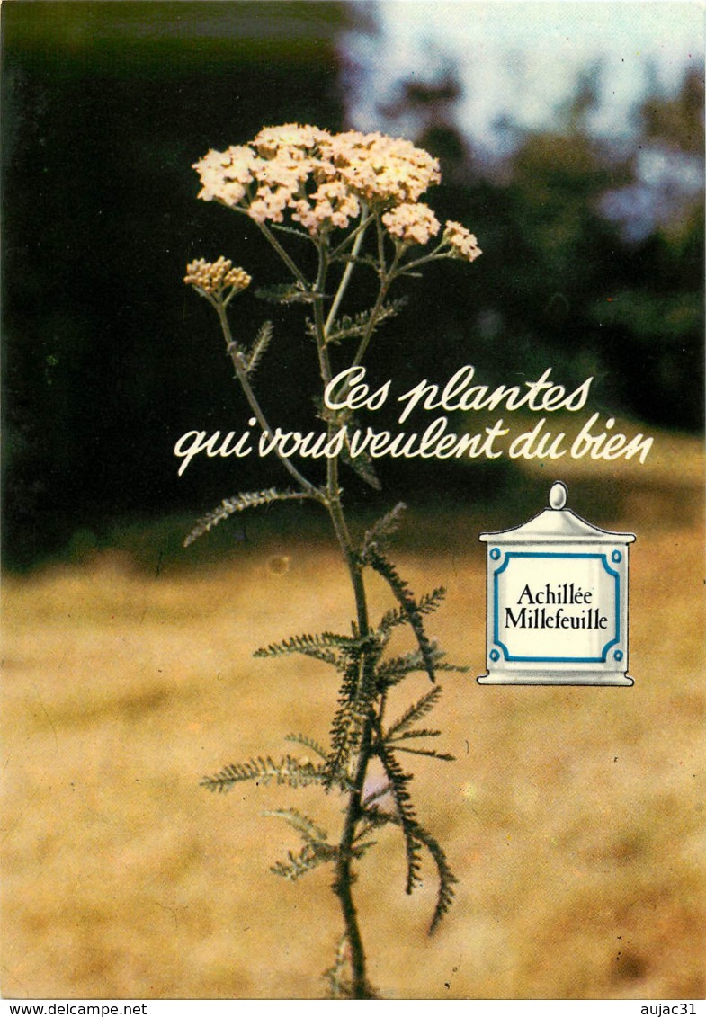Fleurs - Plantes médicinales - Cliché Monique Berard - Lots - Lot de 16 cartes N°H1 à H16 - bon état