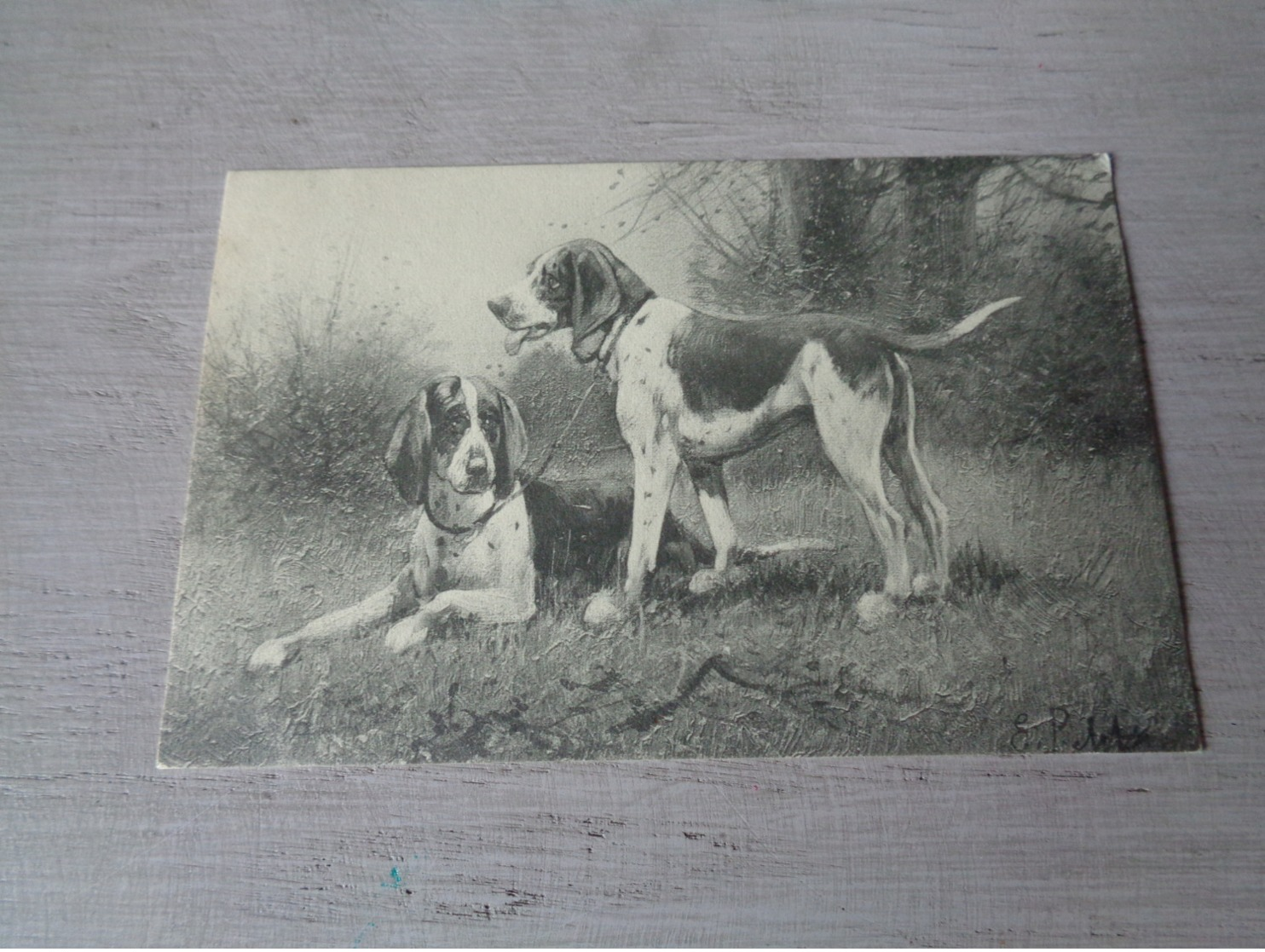 Illustrateur ( 1476 )   Pas Signée  - Carte Genre Viennoise -  Chiens De Chasse  Chien  Honden  Hond  Jacht - 1900-1949