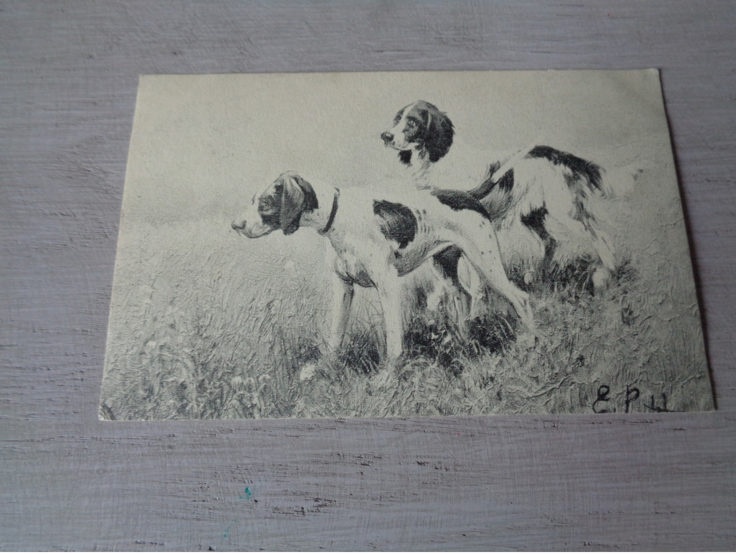 Illustrateur ( 1477 )   Pas Signée  - Carte Genre Viennoise -  Chiens De Chasse  Chien  Honden  Hond  Jacht - 1900-1949