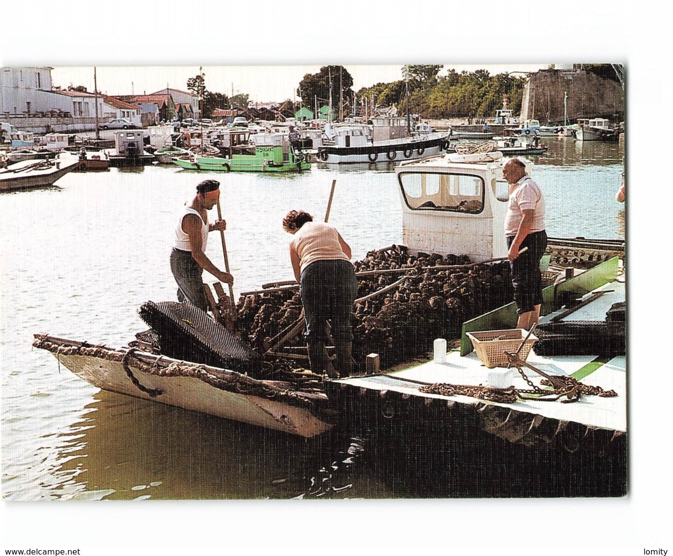 17 Bassin Ostreicole De Marennes Oleron Ostreiculture Huitre Huitres - Marennes