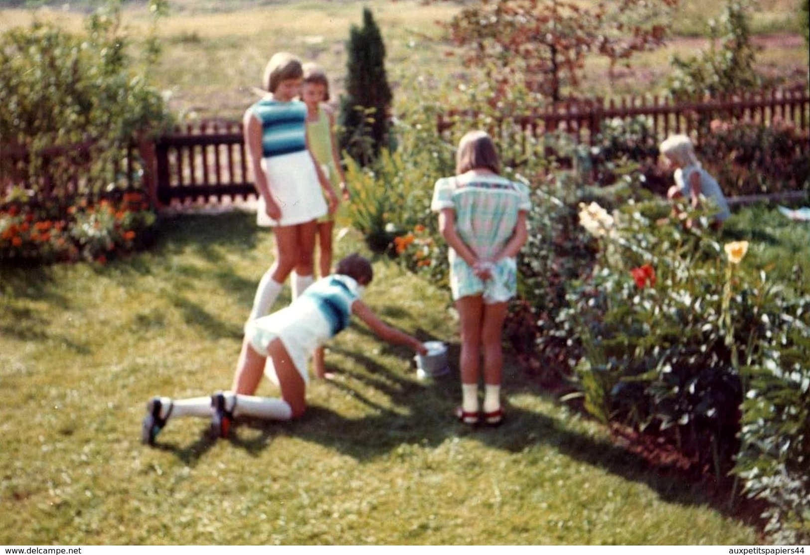 Photo Couleur Originale Sous Les Minis Jupes Des Filles & Photographe Coquin Pour Petite Culotte D'une Des Jumelles 1970 - Pin-up