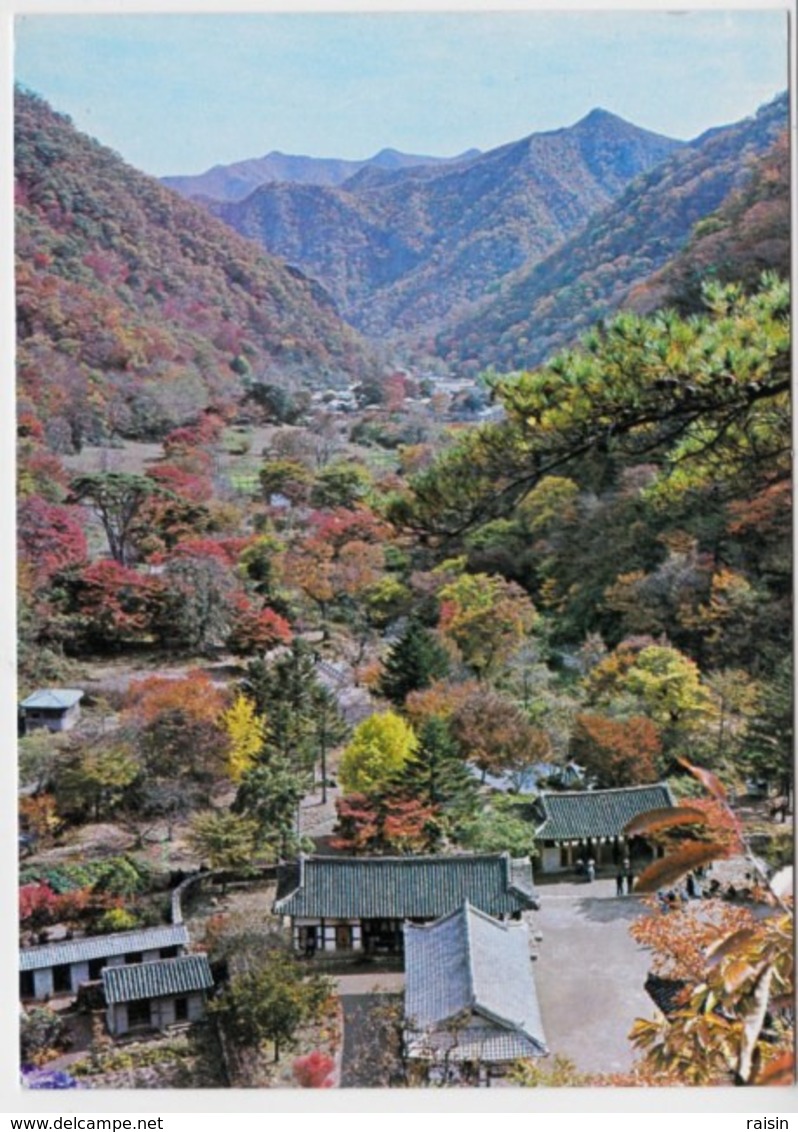 Corée Du Sud Vue Panoramique Du Mont  Naejang  TBE - Korea (Zuid)